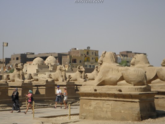 Египет: Карнакский храм в Луксоре
